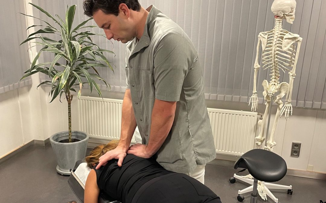 Waarom wij chiropractor zijn geworden? – Deel 4